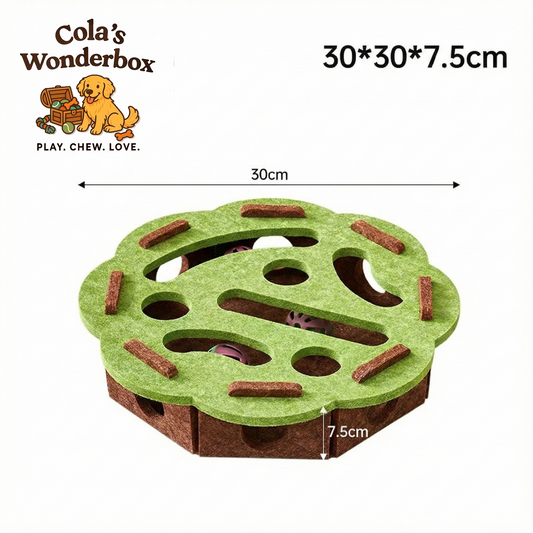 Cola's Peek-a-Boo Box – Interactive Box - Available in 2 Shapes & 4 Colors