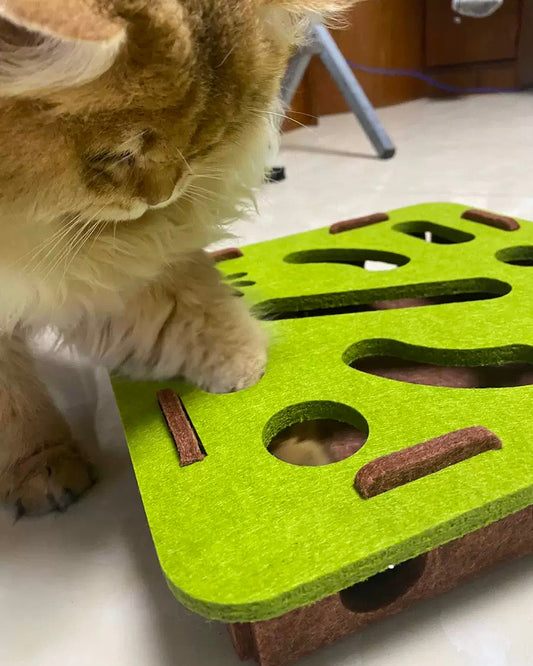 Cola's Peek-a-Boo Box – Interactive Box - Available in 2 Shapes & 4 Colors